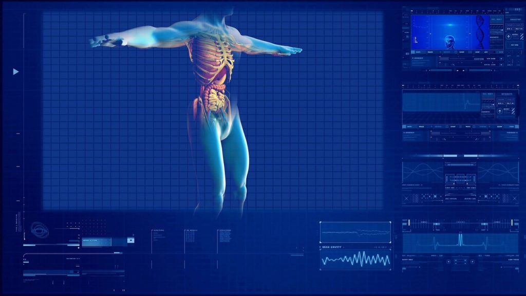 human digestive system, human internal organ, the human body